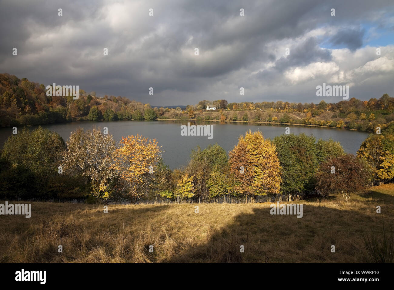 Weinfeld maar in autunno, Totenmaar, Daun, Eifel, Renania-Palatinato, Germania, Europa Foto Stock