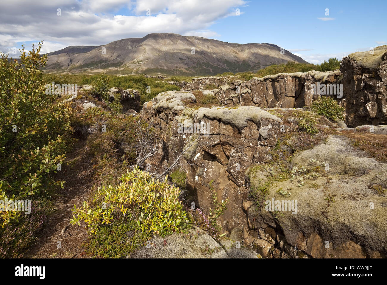 Paesaggio con crepe e i guasti provocati dalla deriva continentale, Thingvellir National Park, Islanda Foto Stock