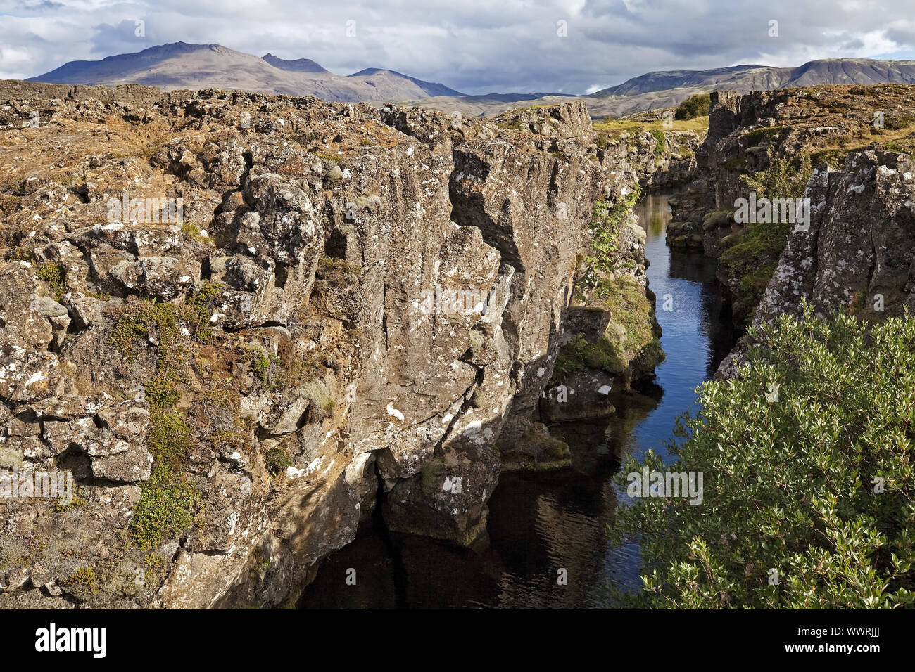 Paesaggio con crepe e i guasti provocati dalla deriva continentale, Thingvellir National Park, Islanda Foto Stock