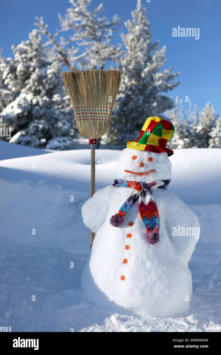 Pupazzo di neve Foto Stock