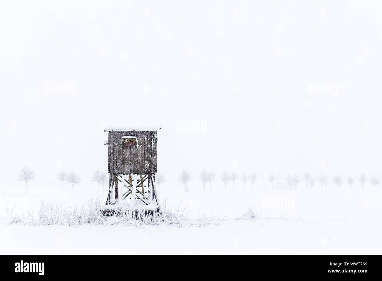 Paesaggio invernale Hochsitz Foto Stock