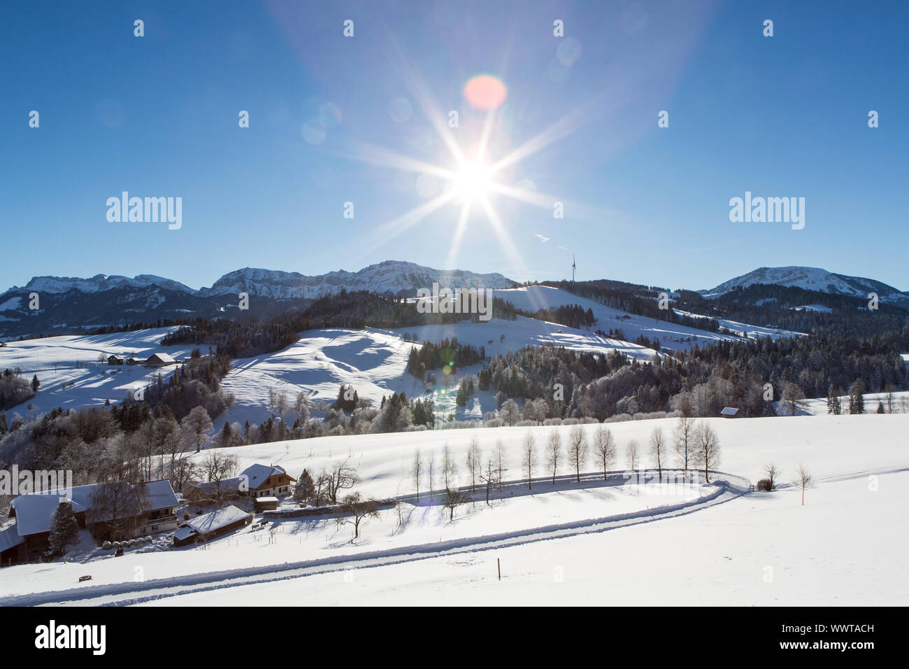 Soleggiata giornata invernale al Rengg, Lucerna, Svizzera, Europa Foto Stock