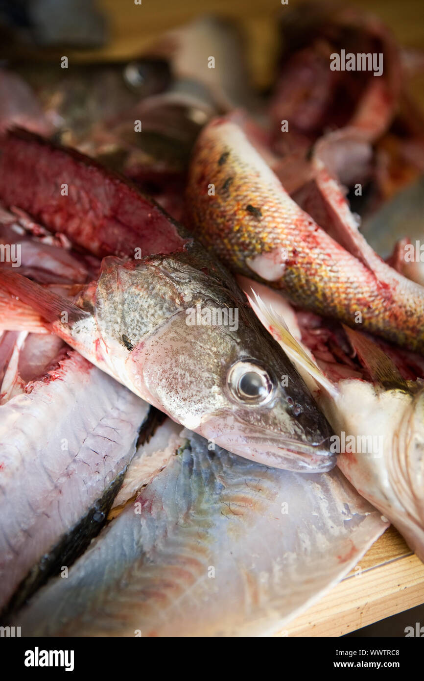 Una particolare immagine del pesce in filetti di fresco Foto Stock