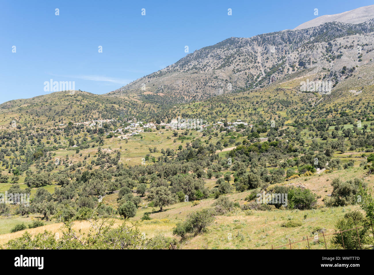 Kouroutes ai piedi della montagna di Ida gamma su Creta Foto Stock