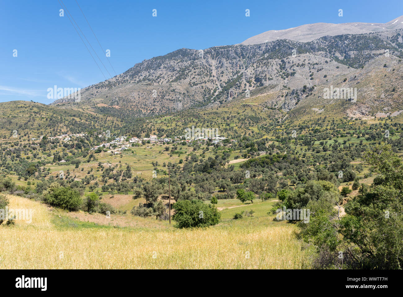 Kouroutes ai piedi della montagna di Ida gamma su Creta Foto Stock