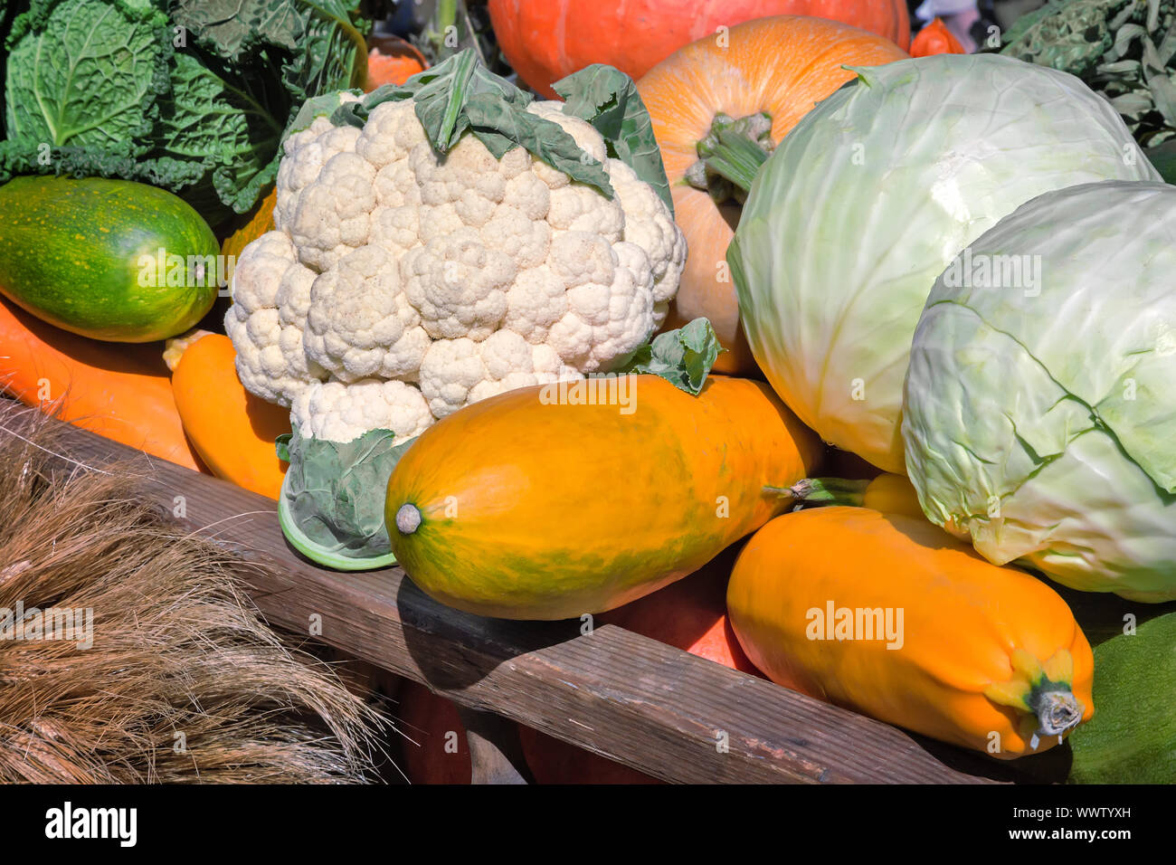 Raccolto vegetale è venduto in fiera. Foto Stock