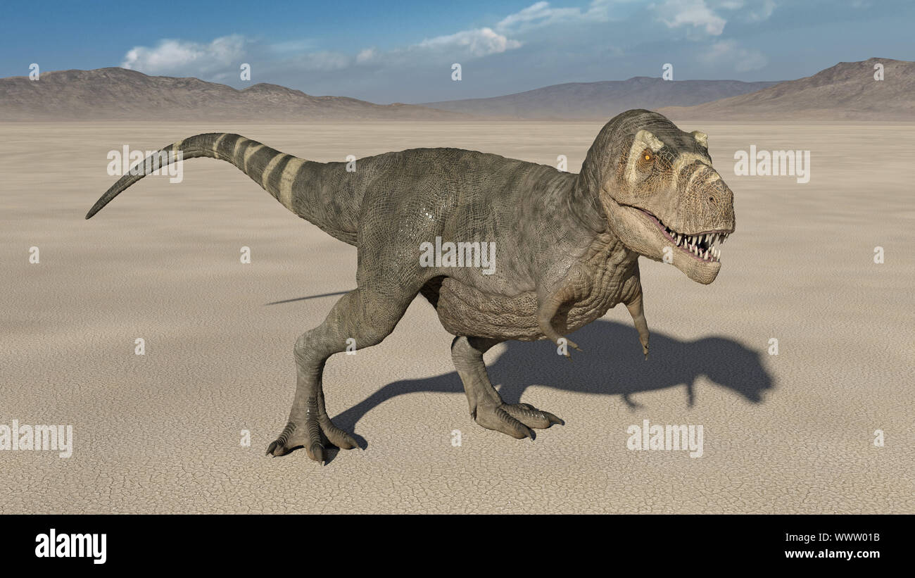 T-Rex dinosauro, Tyrannosaurus Rex permanente del rettile preistorico Jurassic animale in natura deserta, ambiente 3D illustrazione Foto Stock