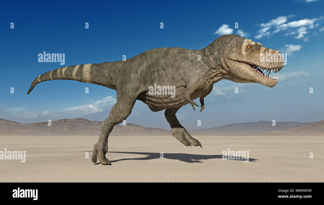 T-Rex dinosauro, il tirannosauro Rex in esecuzione del rettile preistorico Jurassic animale in natura deserta, ambiente 3D illustrazione Foto Stock