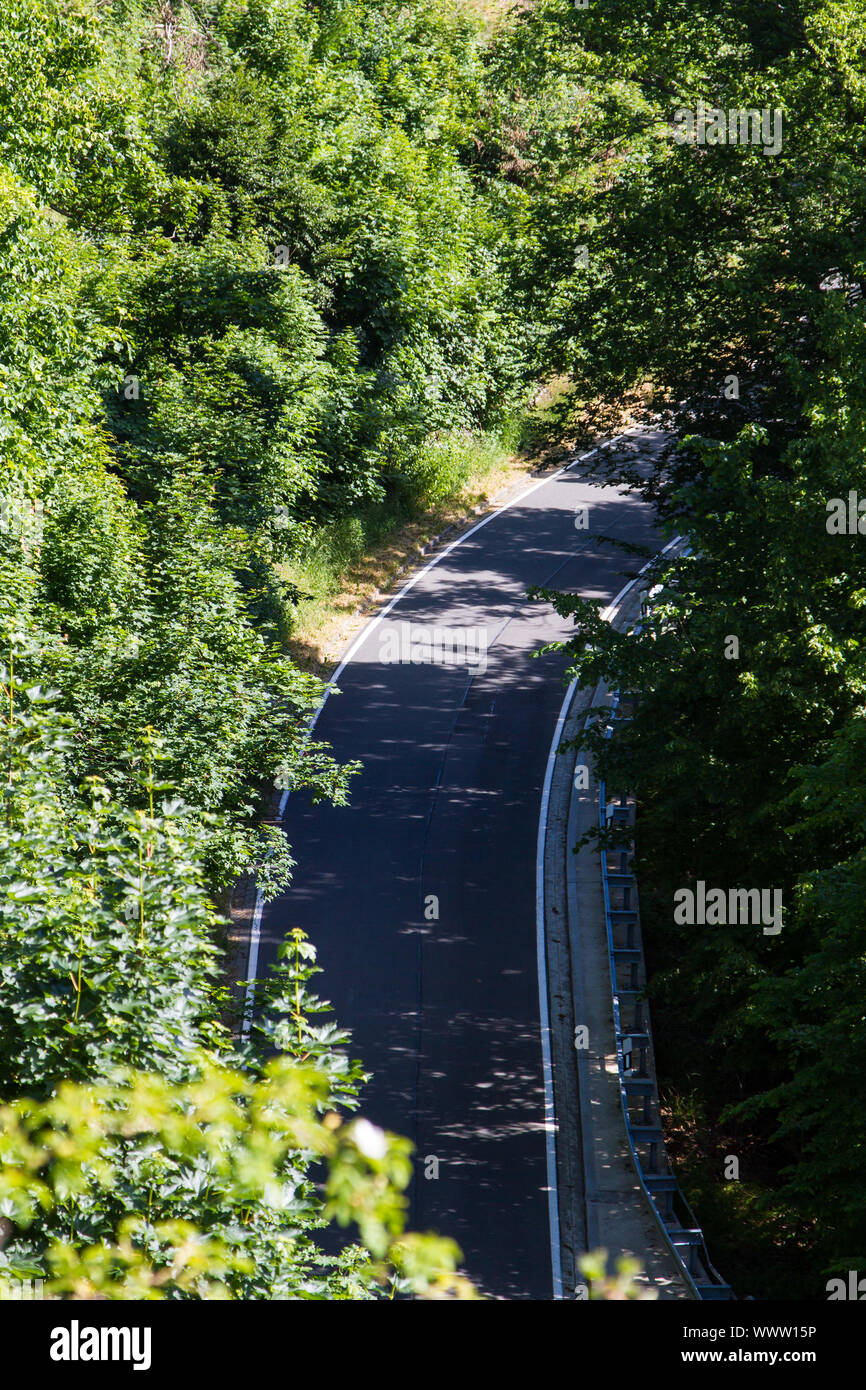 Country Road nella catena montuosa di Harz Foto Stock