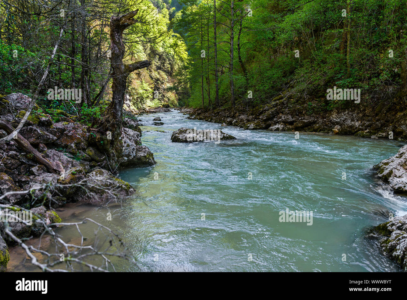 Fiume della montagna Foto Stock