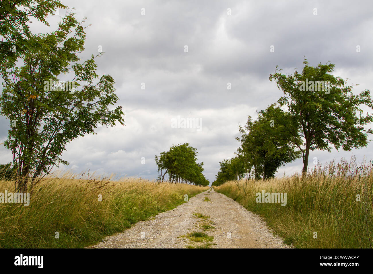 Il campo percorso verso il cielo Foto Stock