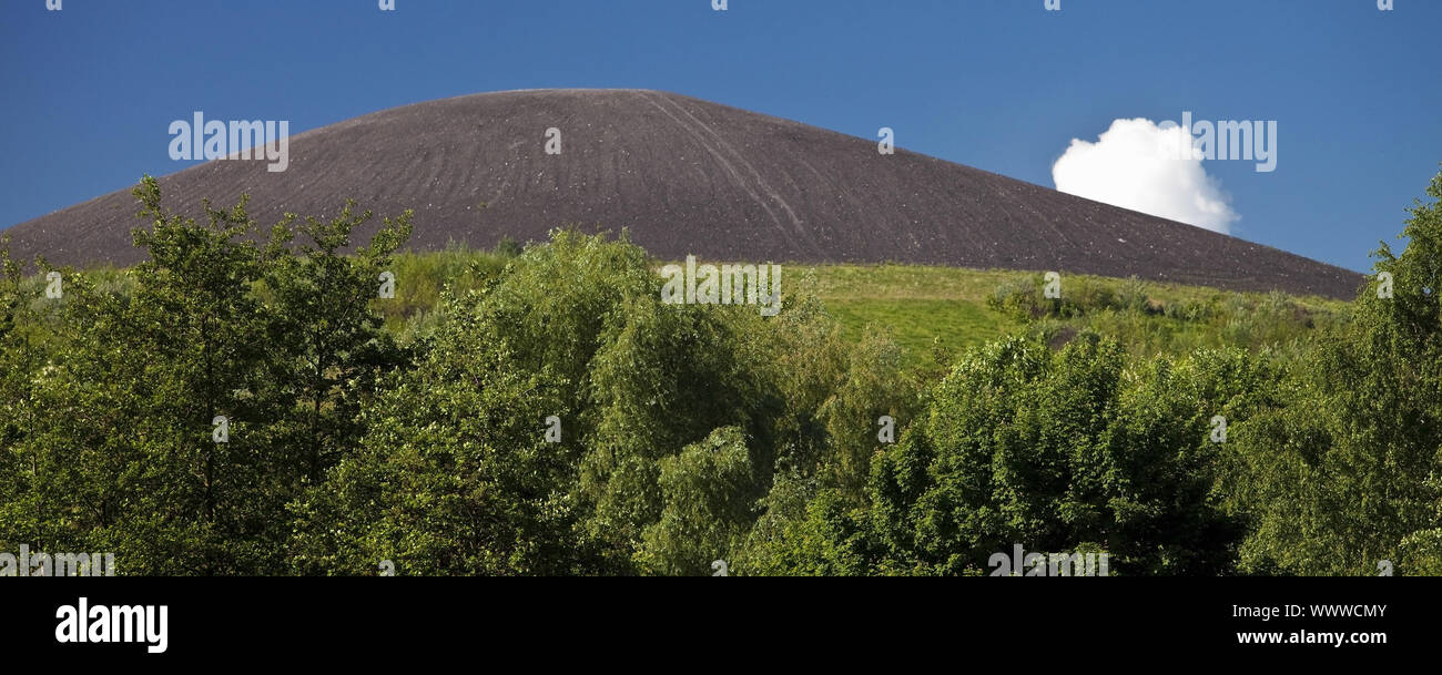 Punta di bottino Mottbruchhalde assomiglia a un vulcano, Gladbeck, la zona della Ruhr, Germania, Europa Foto Stock