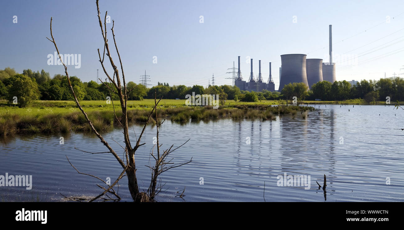 Riserva naturale e Tiebaum Gersteinwerk power station, Hamm, la zona della Ruhr, Germania, Europa Foto Stock