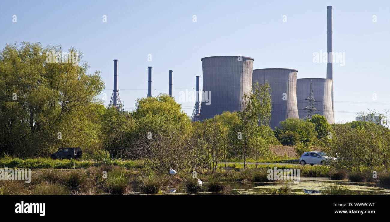 Riserva naturale e Tiebaum Gersteinwerk power station, Hamm, la zona della Ruhr, Germania, Europa Foto Stock