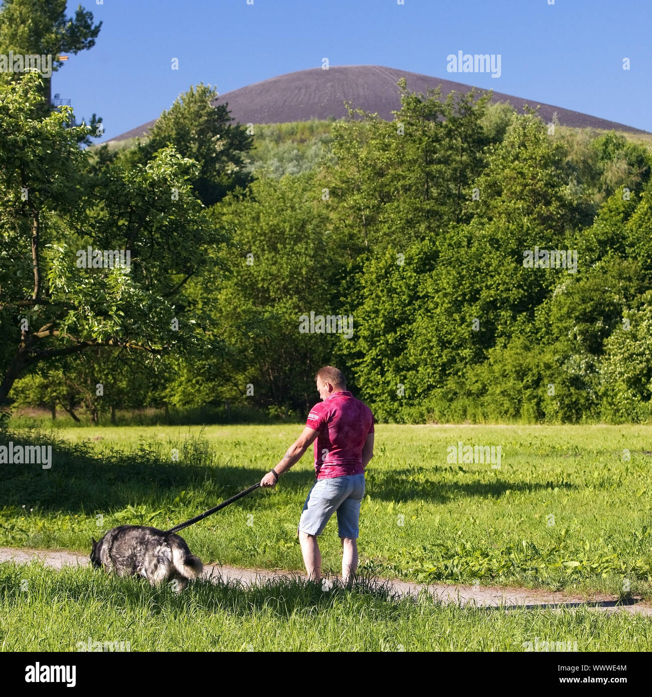 L'uomo con il suo cane di fronte alla punta di bottino Mottbruchhalde, Gladbeck, la zona della Ruhr, Germania, Europa Foto Stock