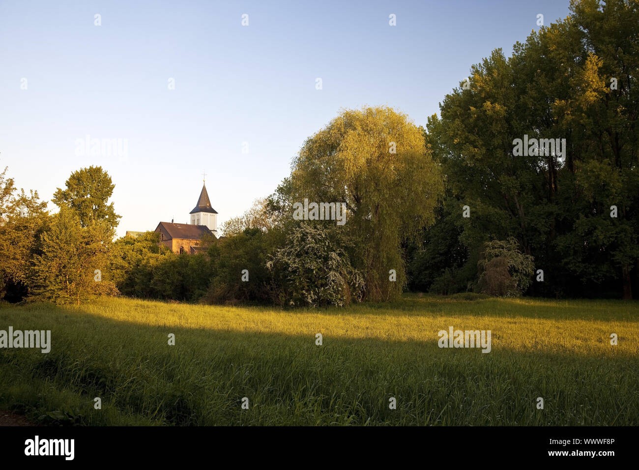 Paesaggio di Merkenich distretto con San Brictius chiesa, Colonia, nella Renania, Germania, Europa Foto Stock