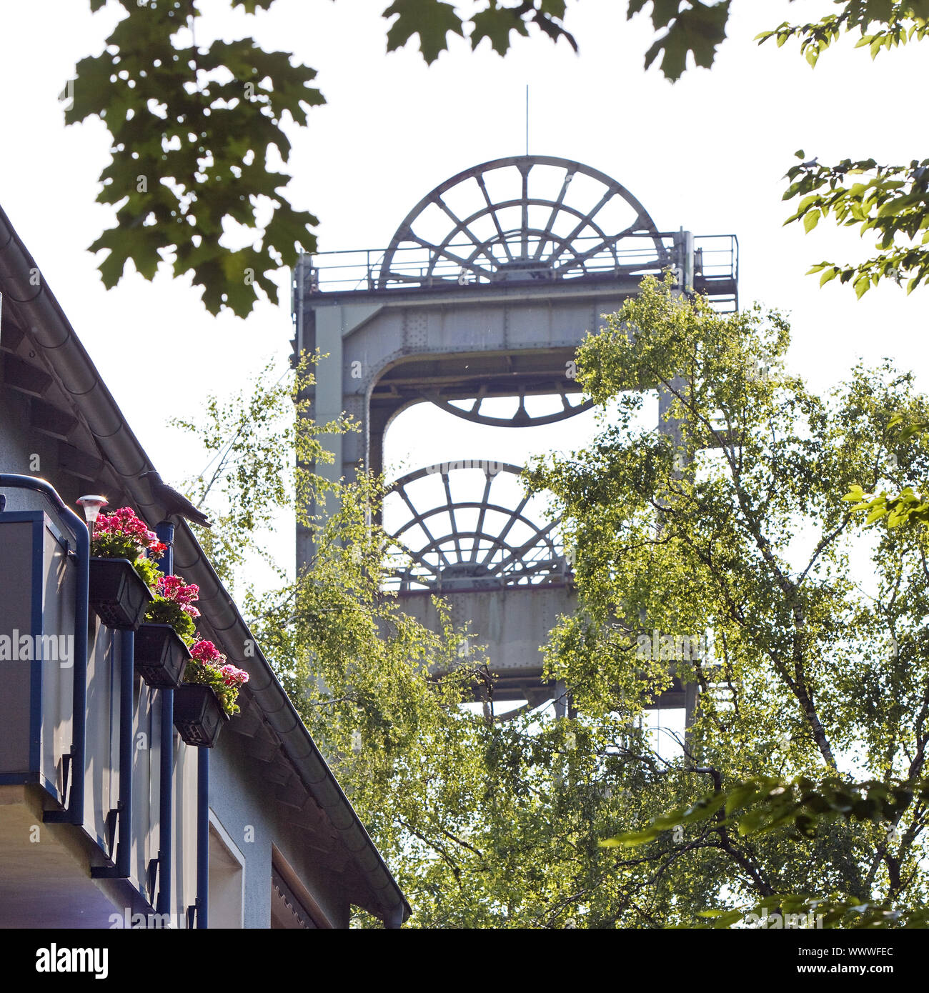 Casa di abitazione e headframe della miniera di carbone di Auguste Victoria, Marl, la zona della Ruhr, Germania, Europa Foto Stock