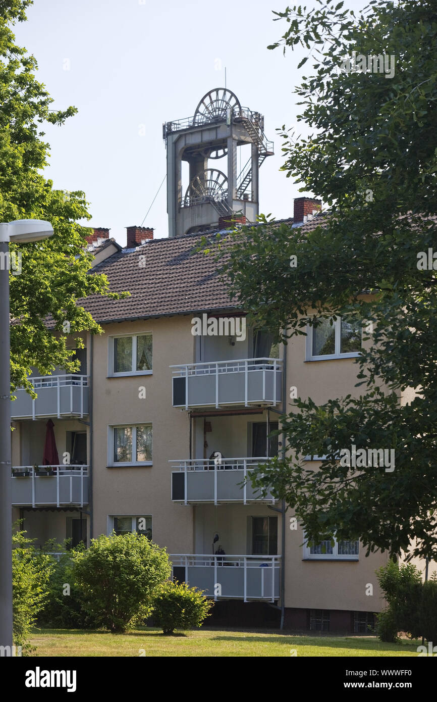 Casa di abitazione e headframe della miniera di carbone di Auguste Victoria, Marl, la zona della Ruhr, Germania, Europa Foto Stock