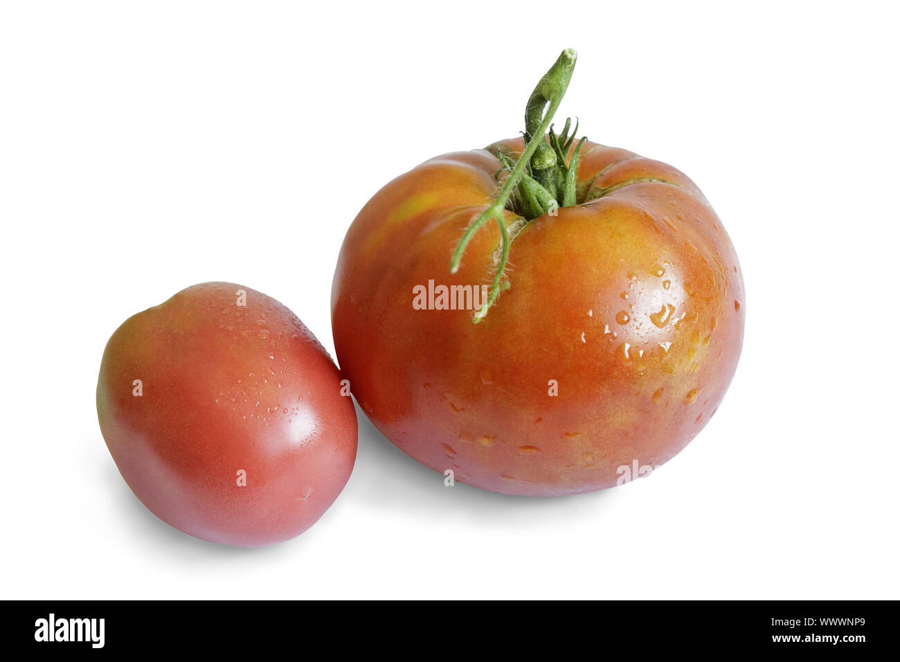 Due pomodori maturi su uno sfondo bianco. Foto Stock
