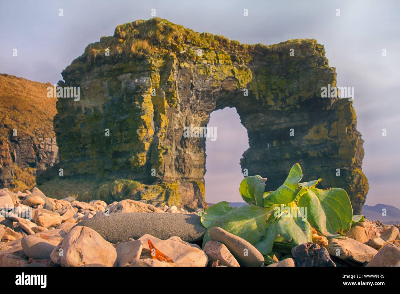 Arco di Steller. Imponente arcata in pietra Foto Stock