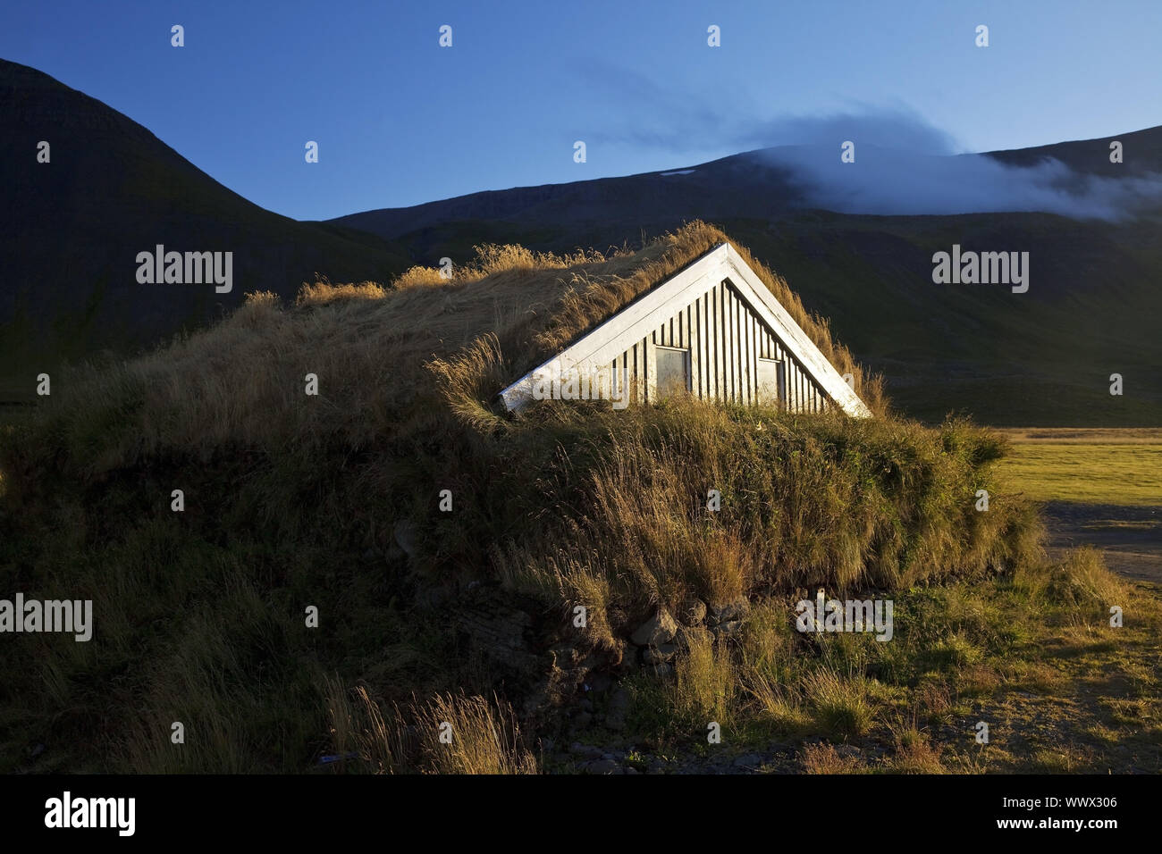 Capanna in legno con tetto del fondo erboso nella luce della sera, Reykjadiskur, Skagafjoerdur, Islanda, Europa Foto Stock