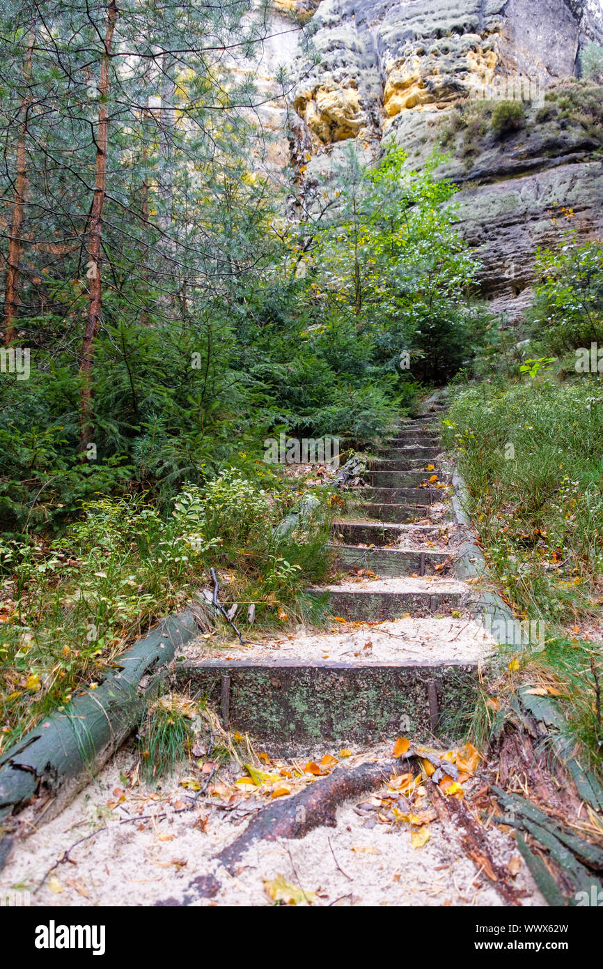 Autunno in montagne di roccia arenaria dell'Elba Bad Schandau Schrammsteine Regione Foto Stock