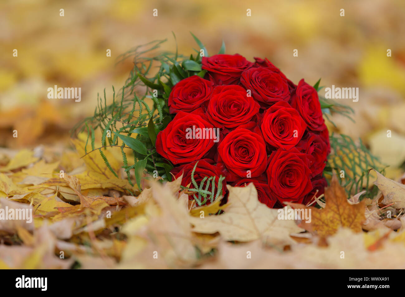 Rose rosse come bridal bouquet per nozze Foto Stock