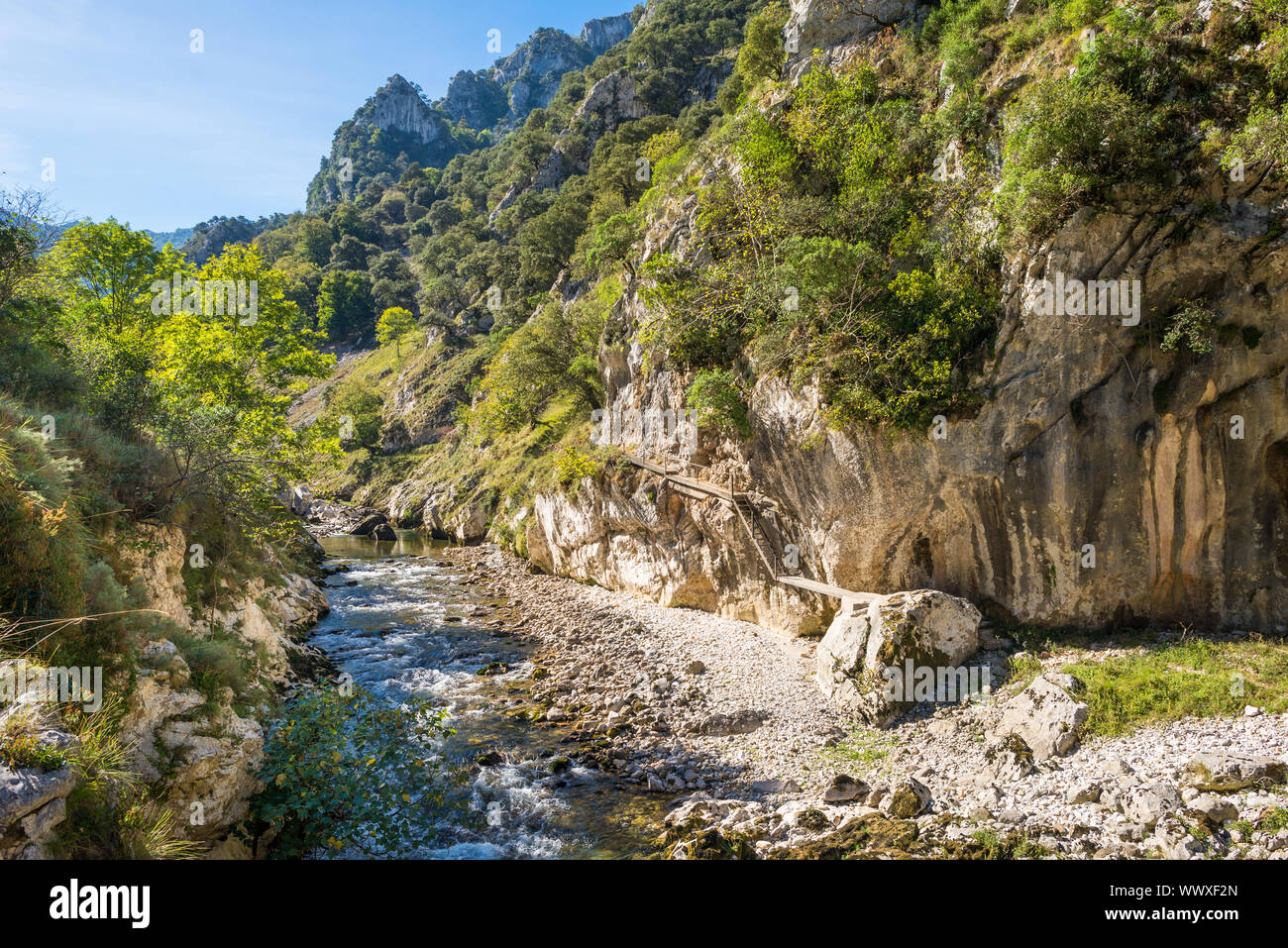 Nei monti Cantabrici sul modo di Picos de Europa Foto Stock