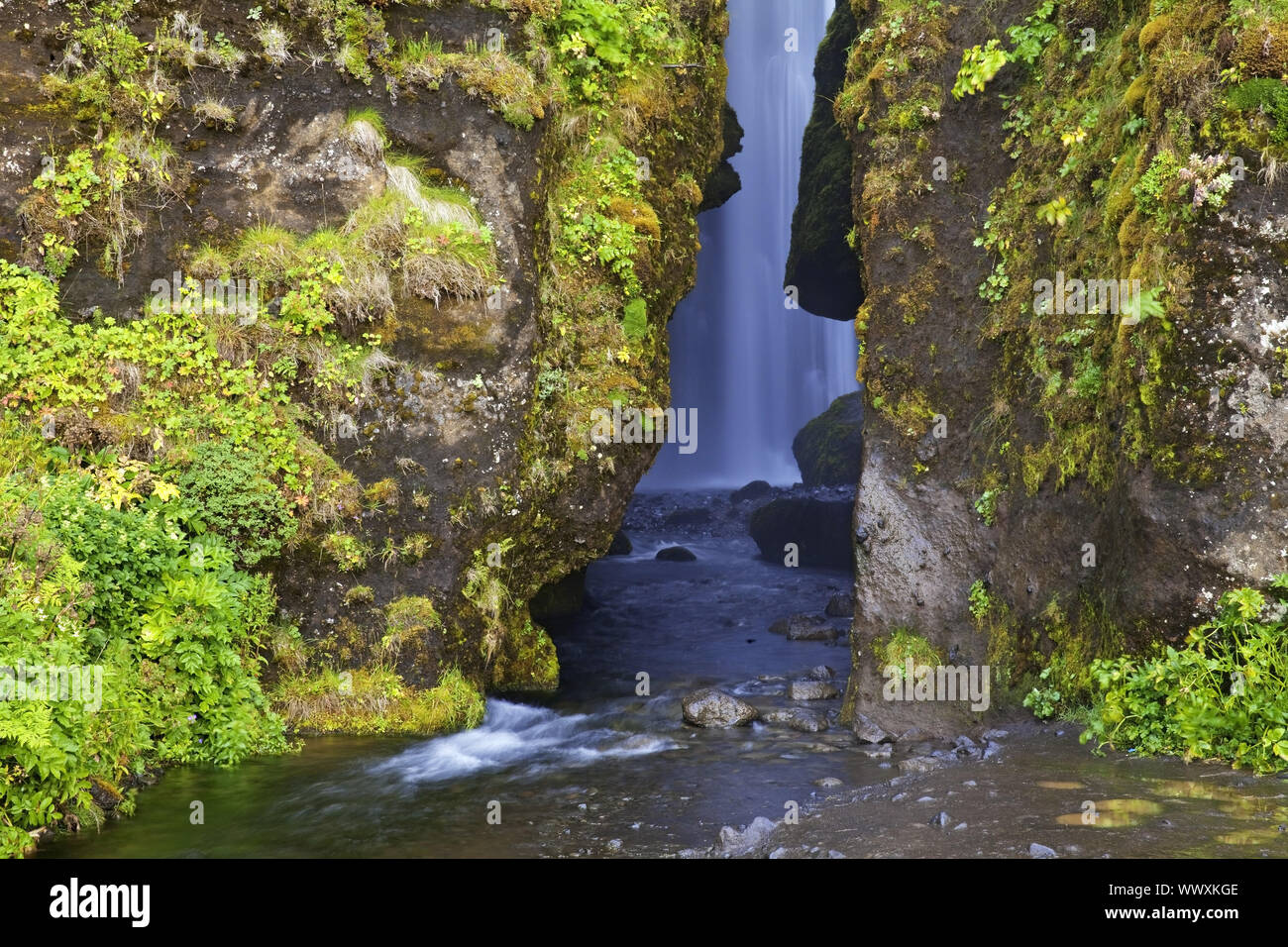 Piccola cascata Glufrafoss, Seljaland, Sud Islanda, Islanda, Europa Foto Stock