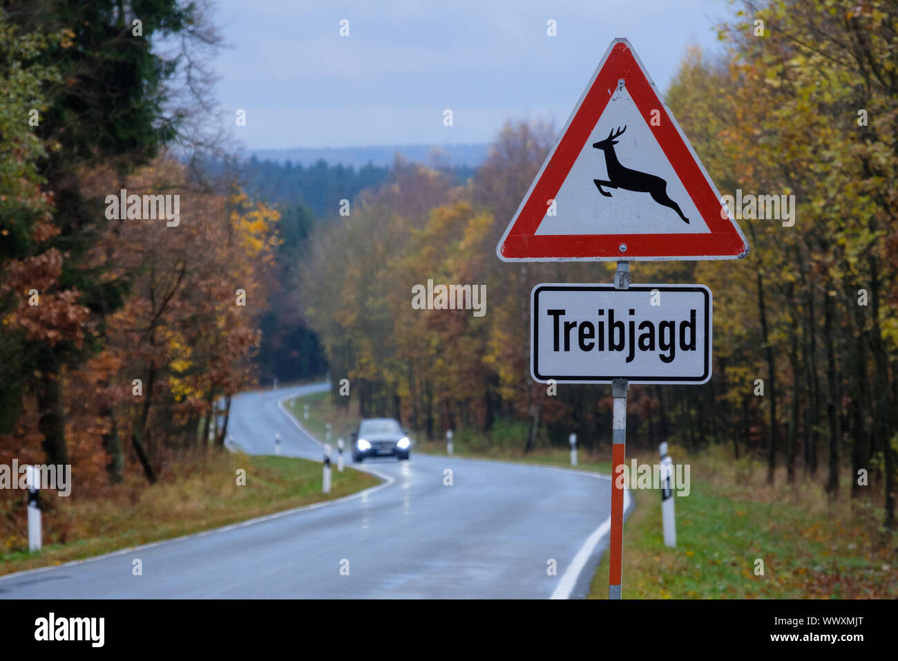 Segno di traffico Treibjagd con country road Foto Stock