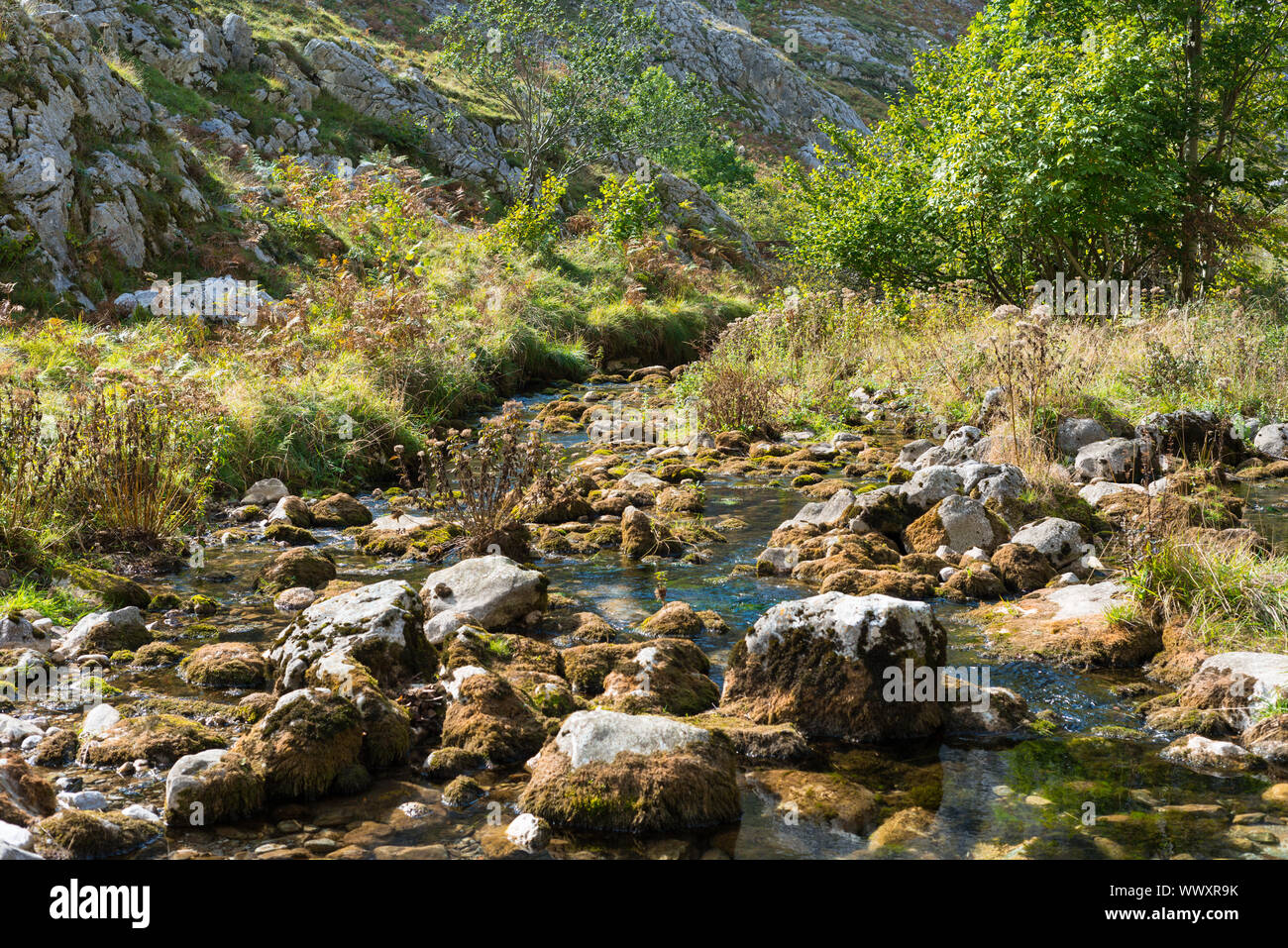 Sentiero escursionistico attraverso il Canal del Texu nelle montagne di Picos de Europa Foto Stock