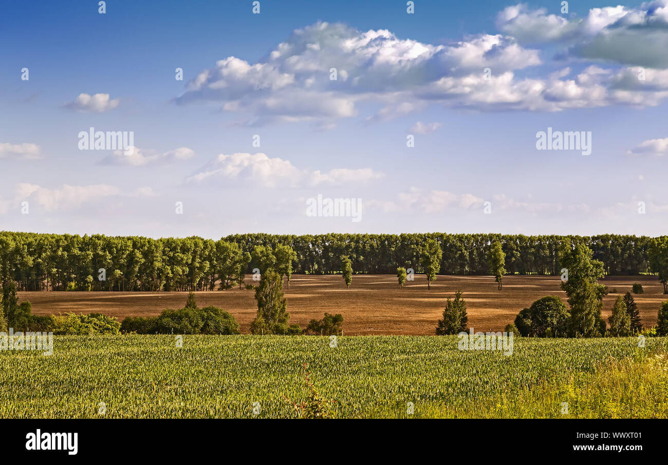 Paesaggio estivo in una limpida giornata di sole. Foto Stock