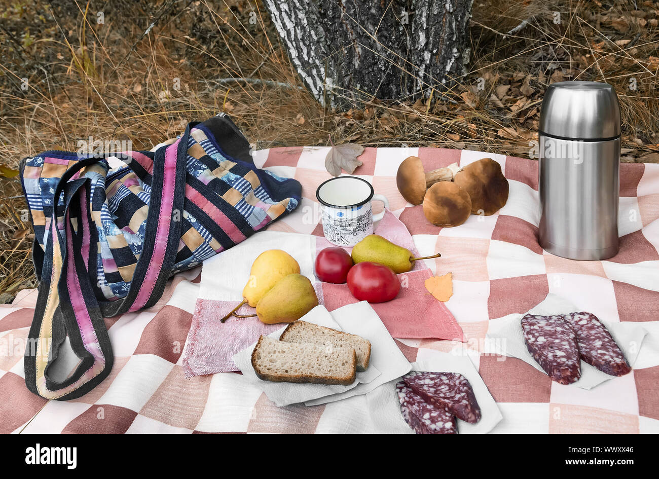 La prima colazione nel bosco durante la raccolta di funghi. Foto Stock