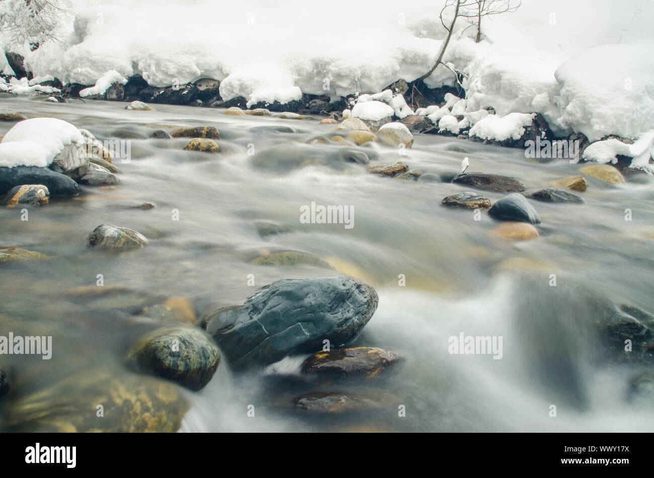 Scorre rapidamente inverno fiume di montagna, offuscata da una lenta velocità otturatore Foto Stock