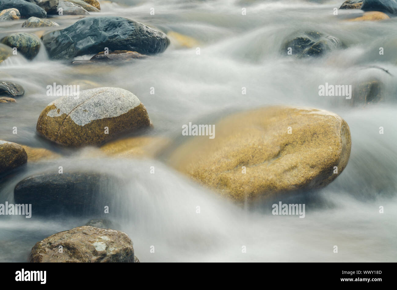 La pietra è nel fiume di montagna, offuscata da una lenta velocità otturatore Foto Stock