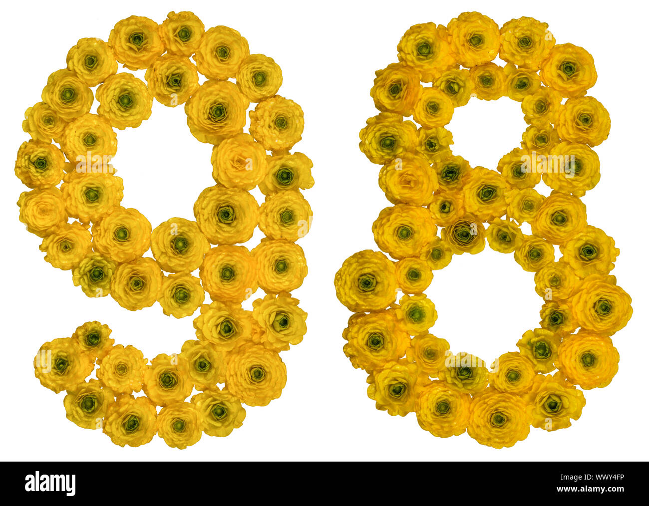 Numero arabo 98, novanta otto, dal giallo dei fiori di ranuncolo, isolato su sfondo bianco Foto Stock