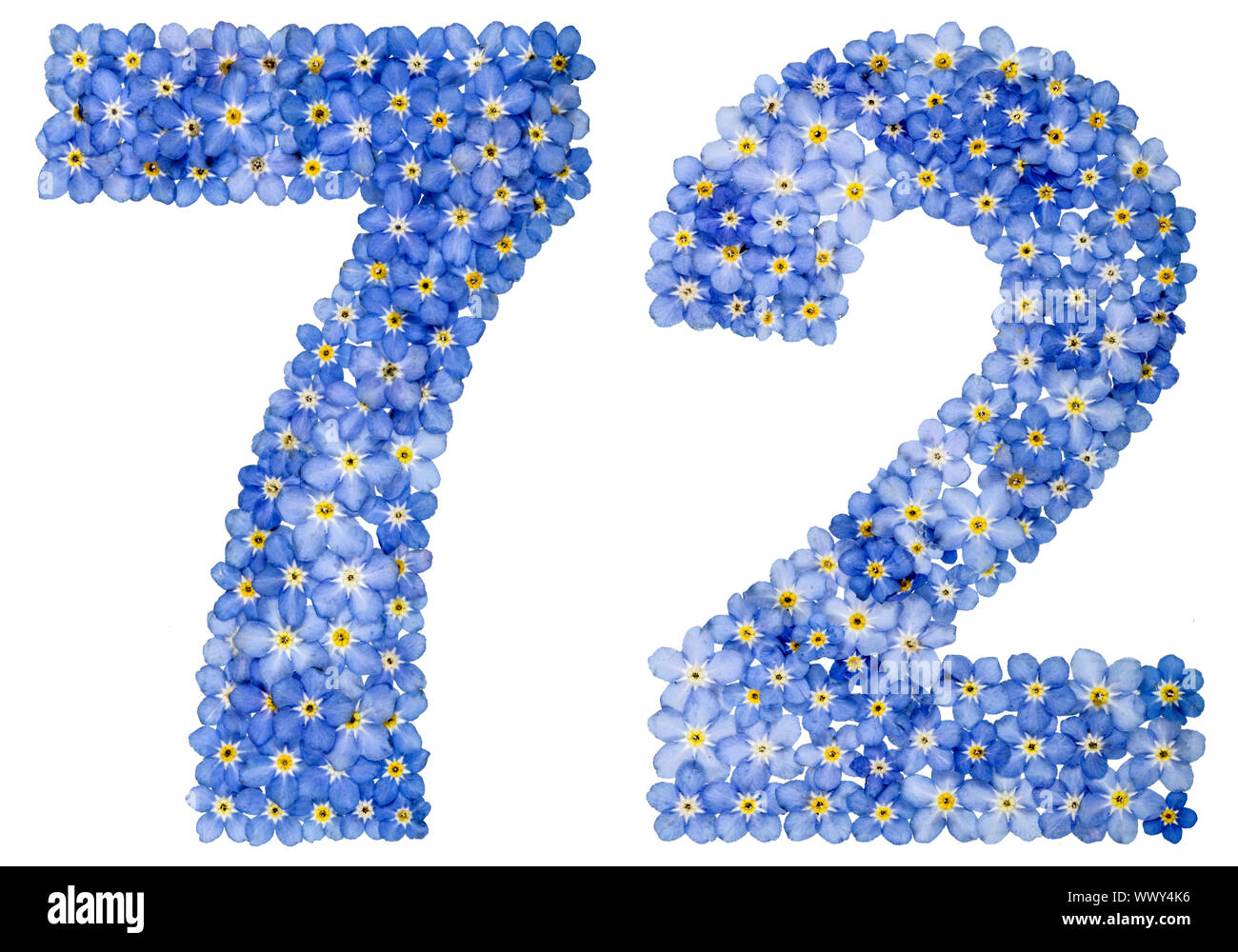 Numero arabo 72, settanta due da dimenticare blu-me-non fiori Foto Stock