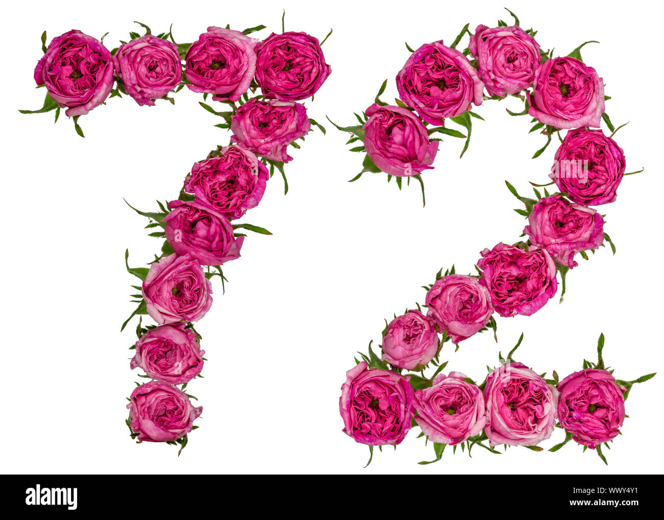 Numero arabo 72, settantadue, dal rosso dei fiori di rosa, isolato su sfondo bianco Foto Stock