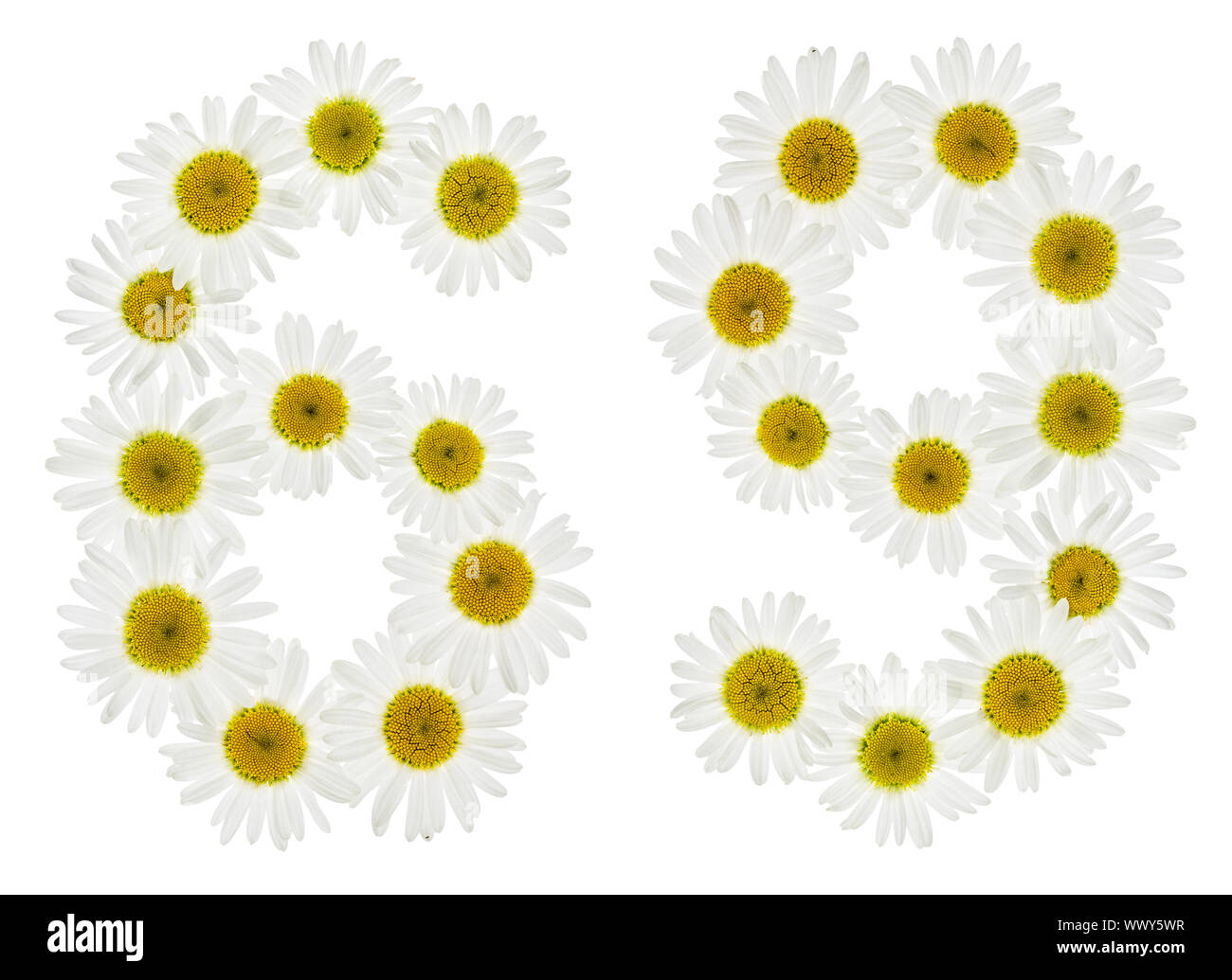 Numero arabo 69, sessanta nove, dal bianco dei fiori di camomilla, isolati su sfondo bianco Foto Stock