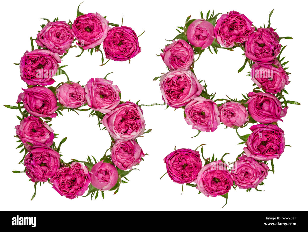 Numero arabo 69, sessanta nove, dal rosso dei fiori di rosa, isolato su sfondo bianco Foto Stock