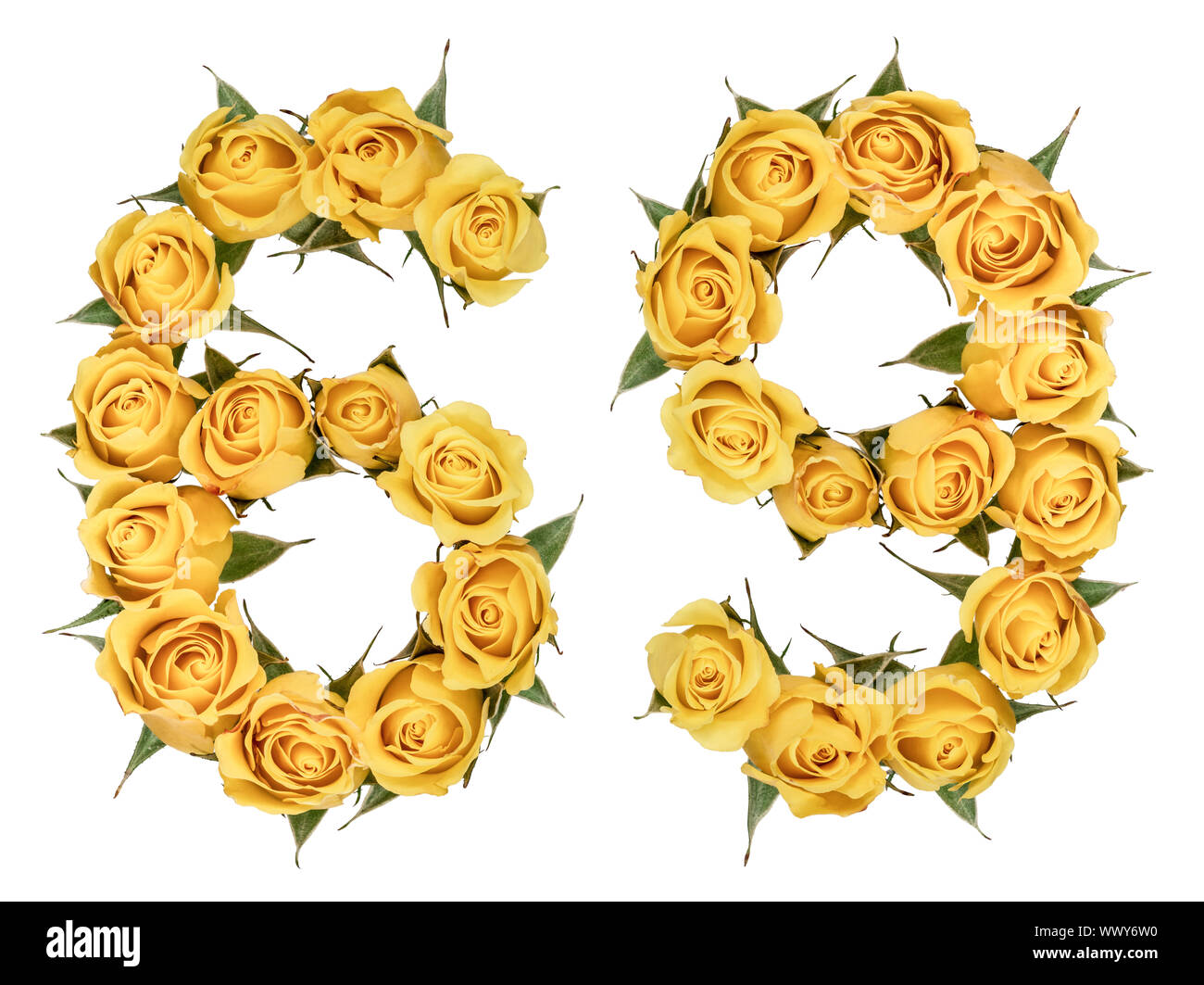 Numero arabo 69, sessanta nove, dal giallo dei fiori di rosa, isolati su sfondo bianco Foto Stock