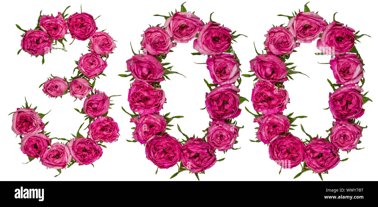 Numero arabo 300, trecento, dal rosso dei fiori di rosa, isolato su sfondo bianco Foto Stock