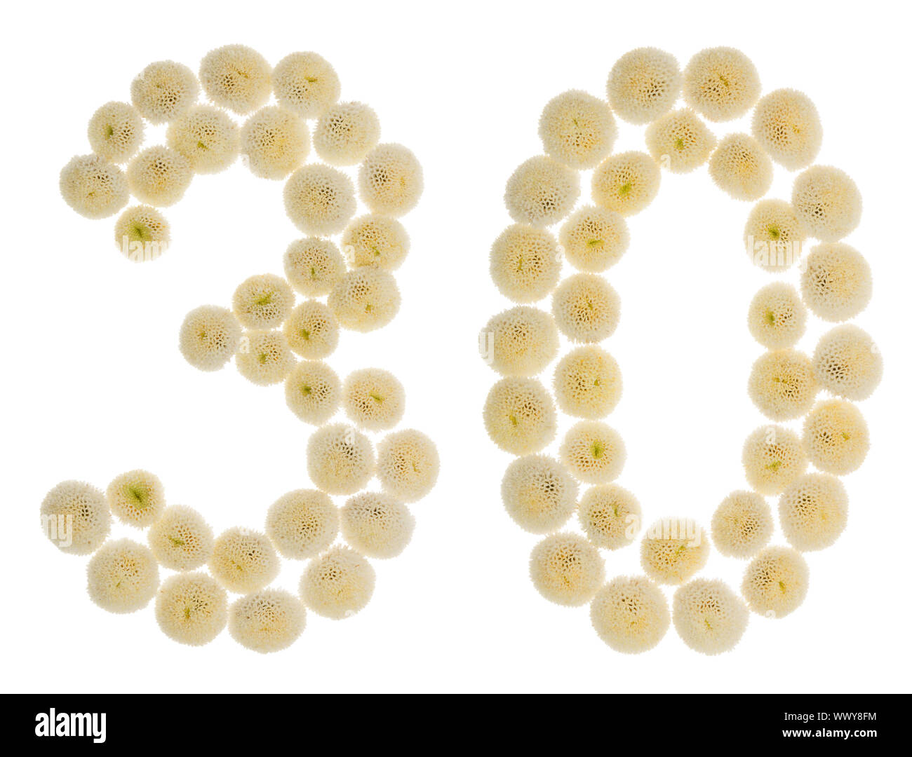 Numero arabo 30, trenta, con crema di fiori di crisantemo, isolato su sfondo bianco Foto Stock