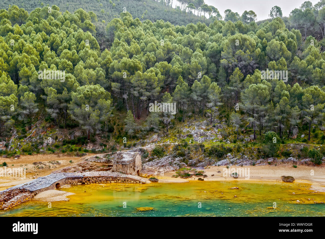 Antico mulino ad acqua sul fiume colorato Odiel con pineta in Huelva, Andalusia. Foto Stock