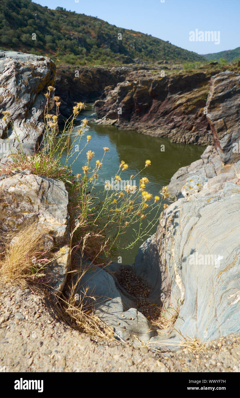 Fiume Guadiana fluisce attraverso il profondo burrone in scisti. Pulo do Lobo. Alentejo. Portogallo Foto Stock