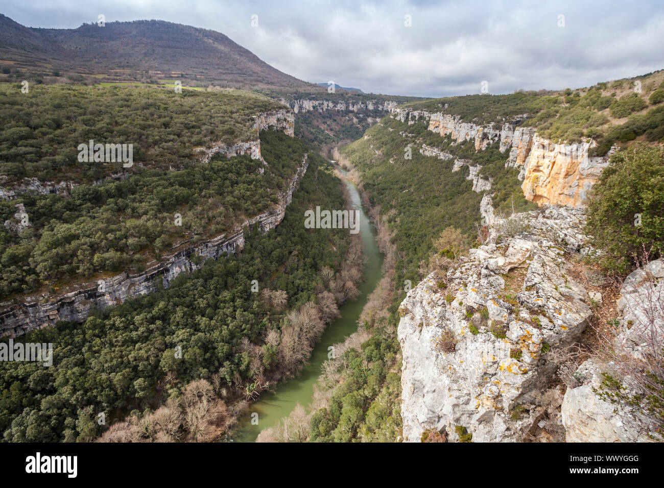 Punto di vista del fiume Ebro Canyon vicino Pesquera de Ebro village, Paramos regione, Burgos, Spagna Foto Stock