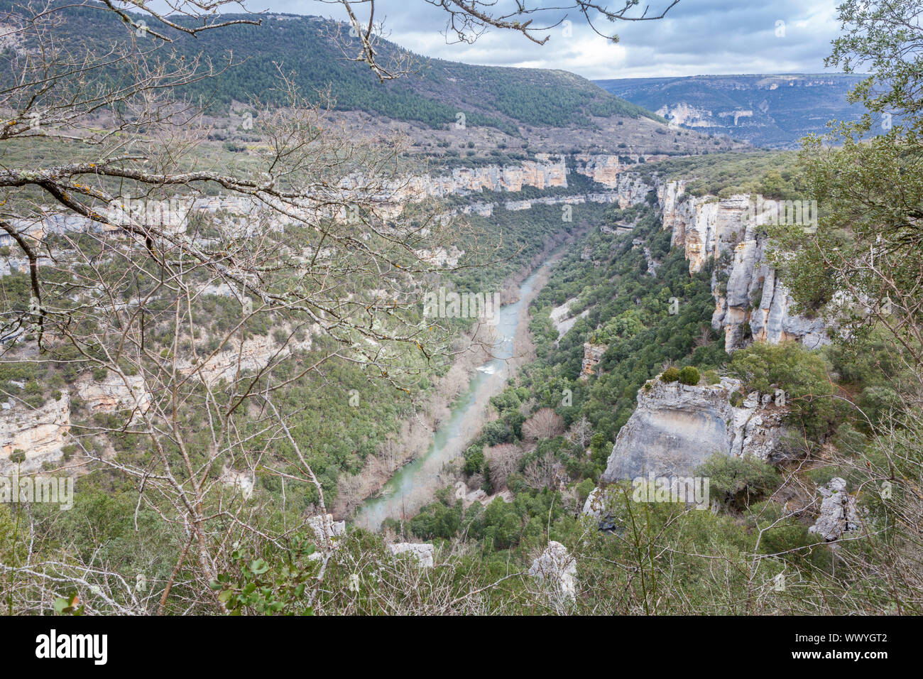 Punto di vista del fiume Ebro Canyon vicino Pesquera de Ebro village, Paramos regione, Burgos, Spagna Foto Stock