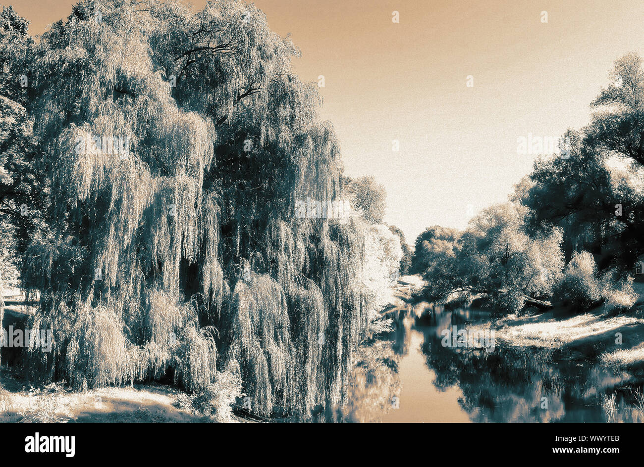 Paesaggio: piccolo fiume e gli alberi della banca. L'effetto della pellicola a raggi infrarossi Foto Stock