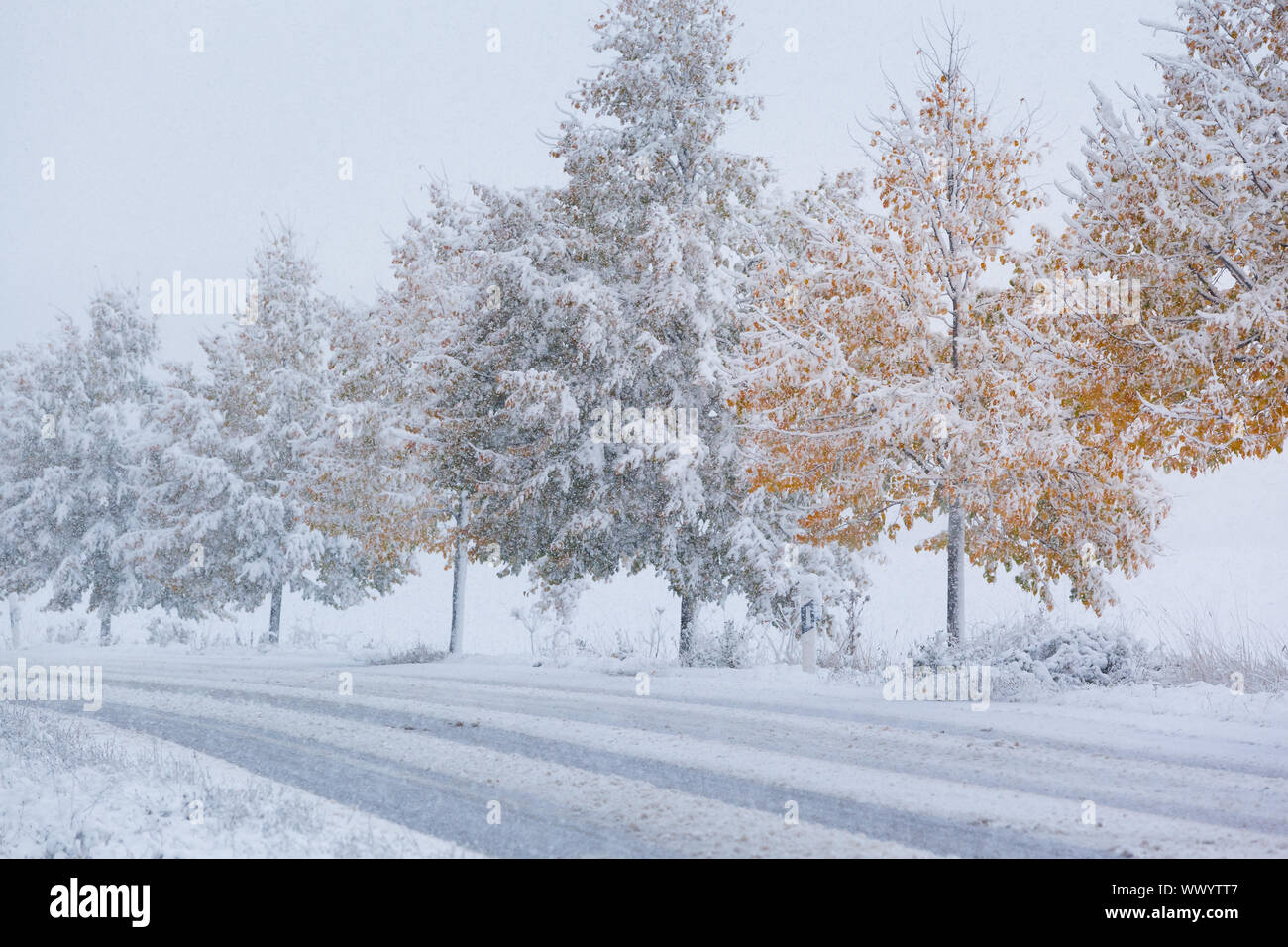 Snow-strade liscia in autunno Foto Stock