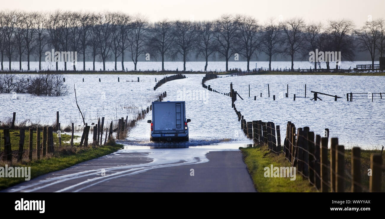 Strada di natura area conversazione Bislicher Insel ad alta filigrana, Wesel, Basso Reno, Germania Foto Stock